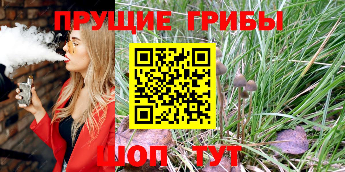 Новоуральск  Псилоцибиновые грибы Psilocybe  Вход с VPN 
