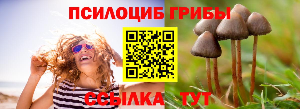 Псилоцибиновые грибы ЛСД Новоуральск